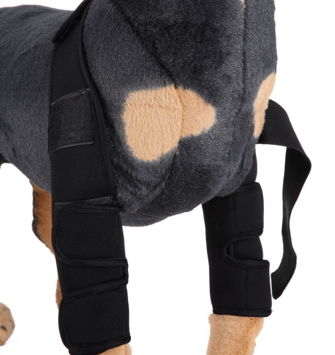 Canine Recovery Knee Brace and Leg Guard
