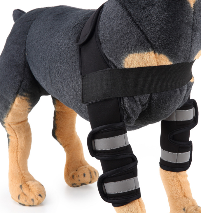 Canine Recovery Knee Brace and Leg Guard