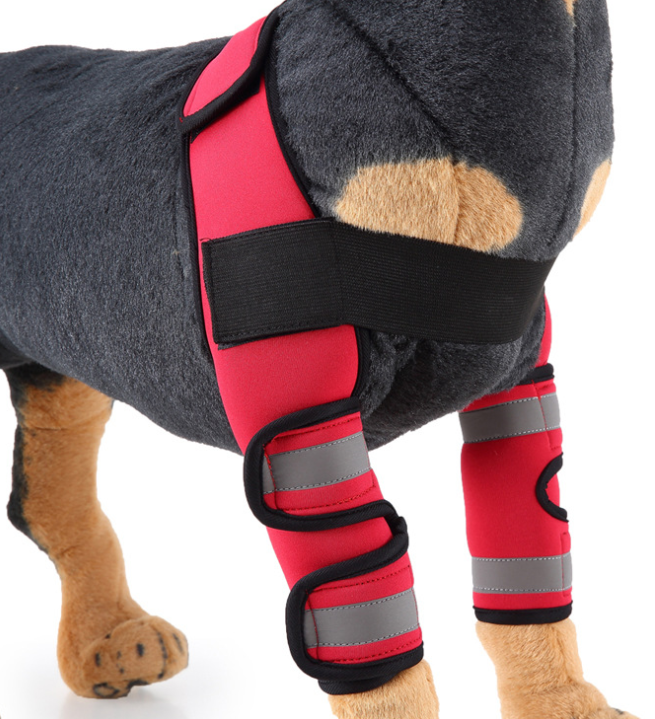 Canine Recovery Knee Brace and Leg Guard