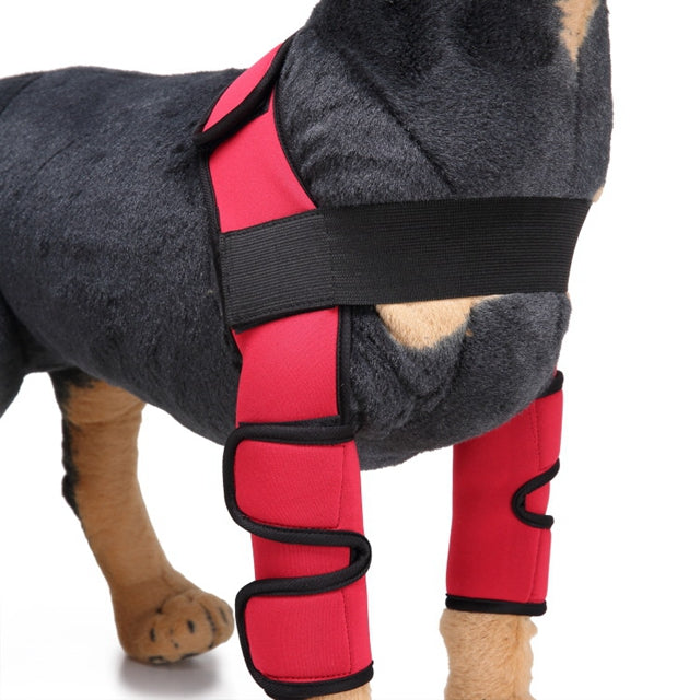 Canine Recovery Knee Brace and Leg Guard