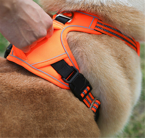 All-Weather Ergonomic Pet Harness