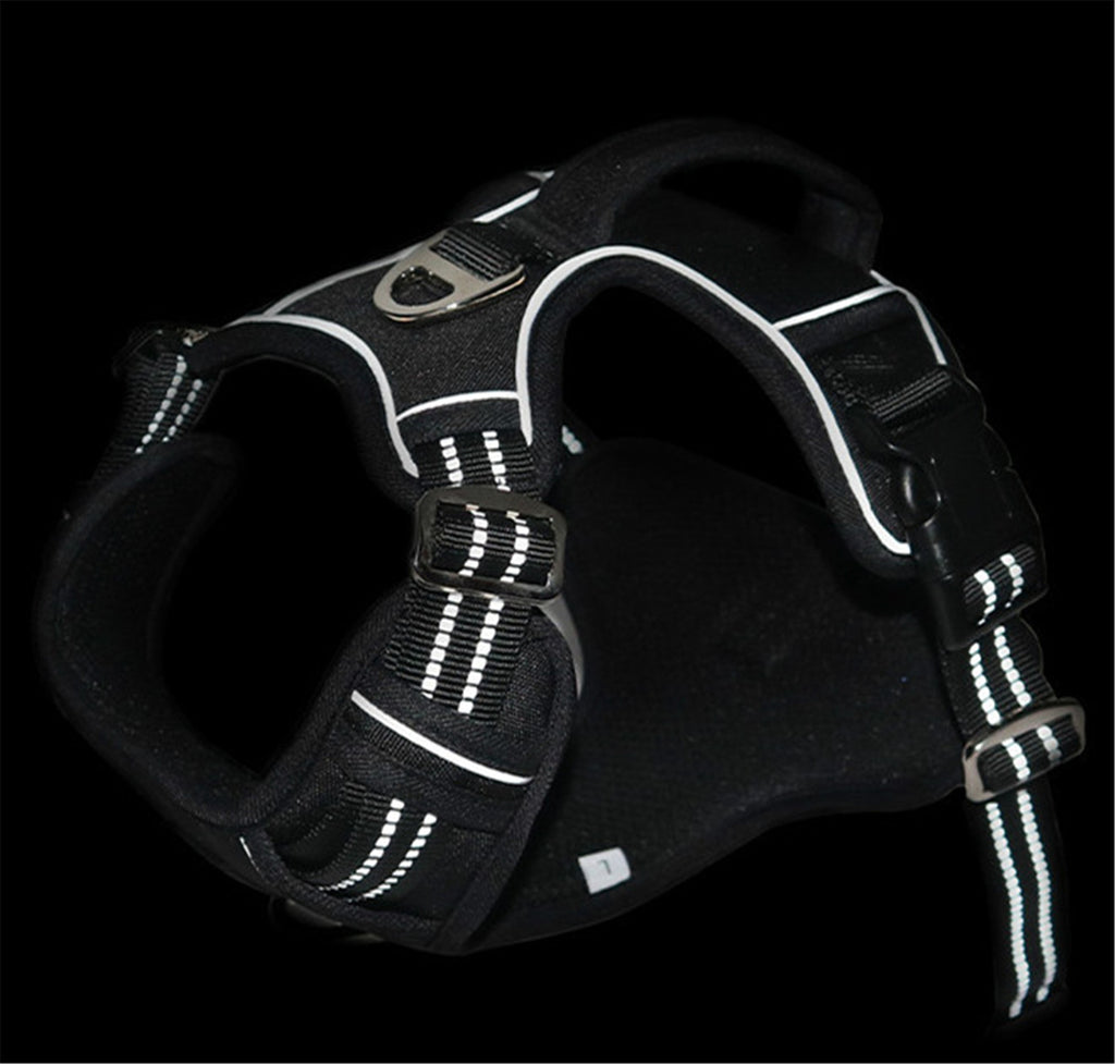 All-Weather Ergonomic Pet Harness