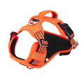 All-Weather Ergonomic Pet Harness