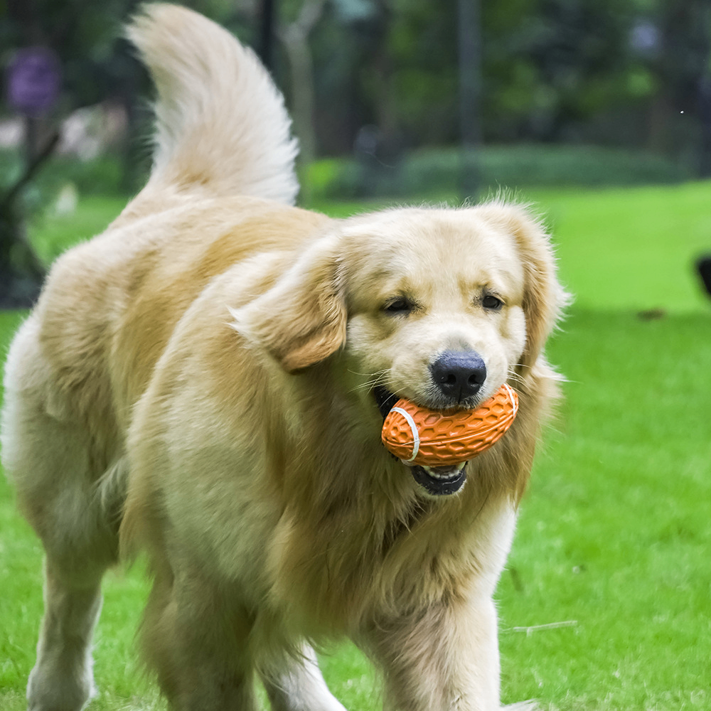 ChewTough Play Ball for Dogs