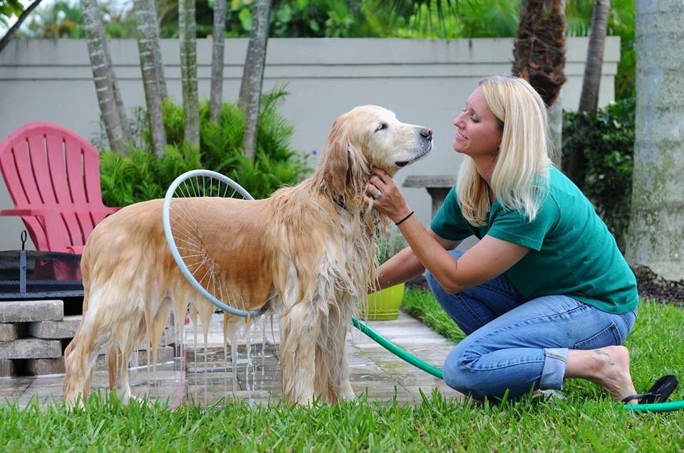 Pet Wash Fun Ring with Splash Guard