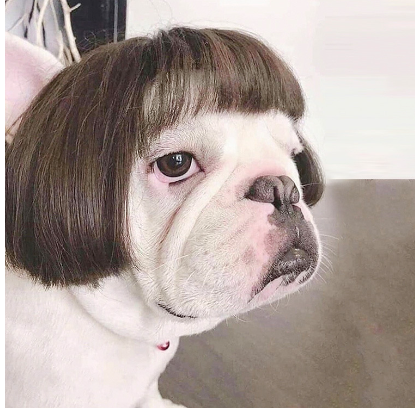 CosplayEssence Versatile Wig