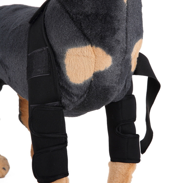 Canine Recovery Knee Brace and Leg Guard
