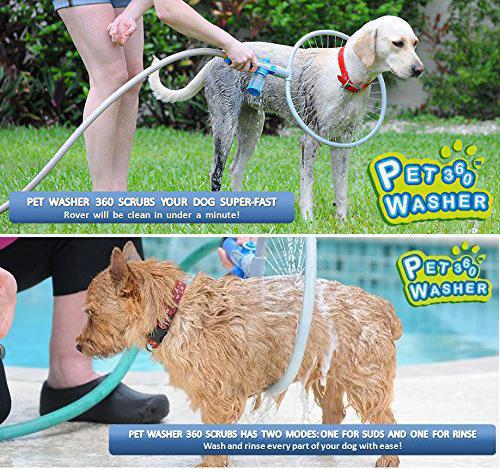 Pet Wash Fun Ring with Splash Guard