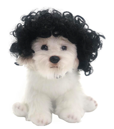 CosplayEssence Versatile Wig