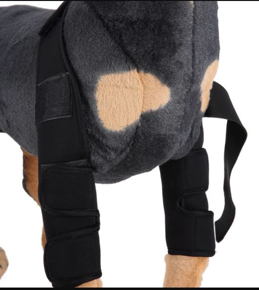 Canine Recovery Knee Brace and Leg Guard