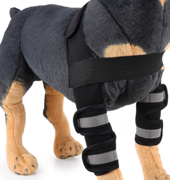 Canine Recovery Knee Brace and Leg Guard