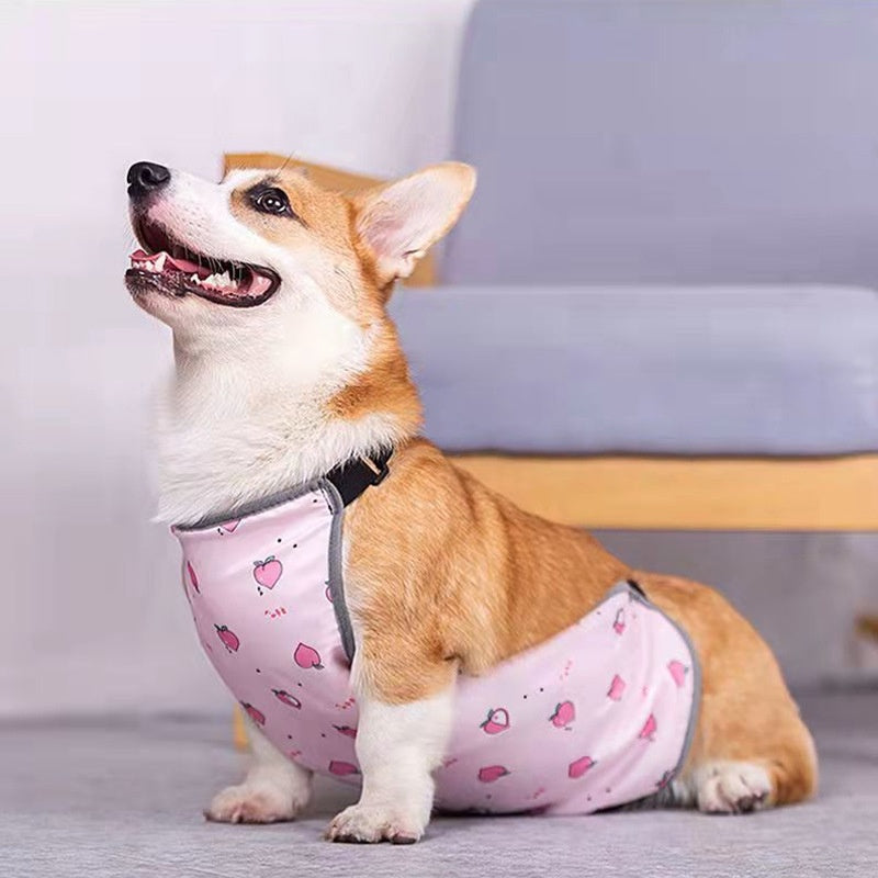 Summer Chic Small Dog Vest